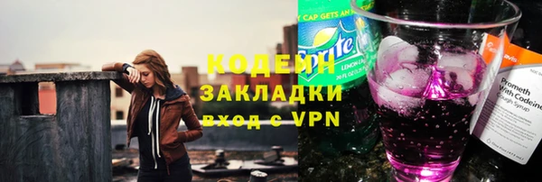 сатива Новозыбков