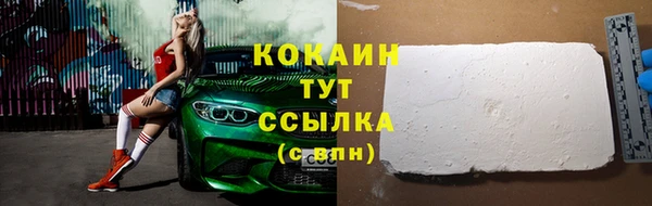 трава Новодвинск