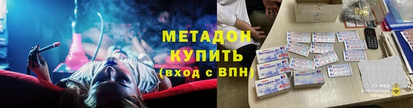 сатива Новозыбков