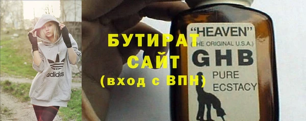 сатива Новозыбков