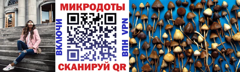 Псилоцибиновые грибы мухоморы  omg как войти  Рыбное 